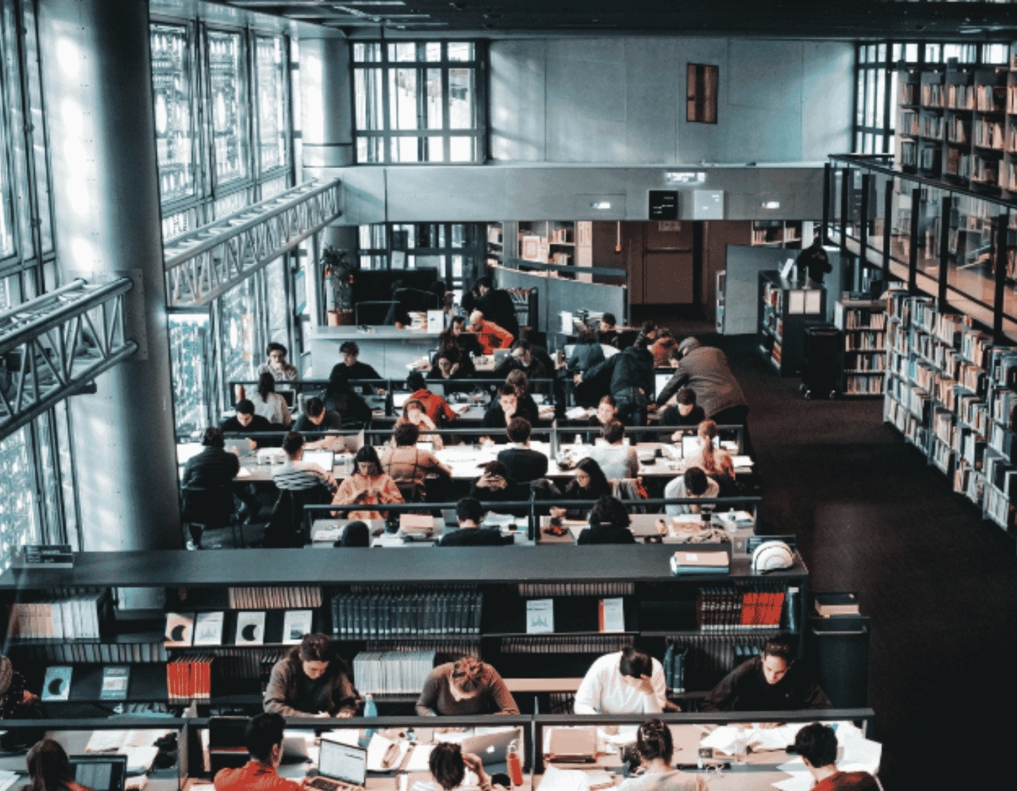 Students studying in uni library
